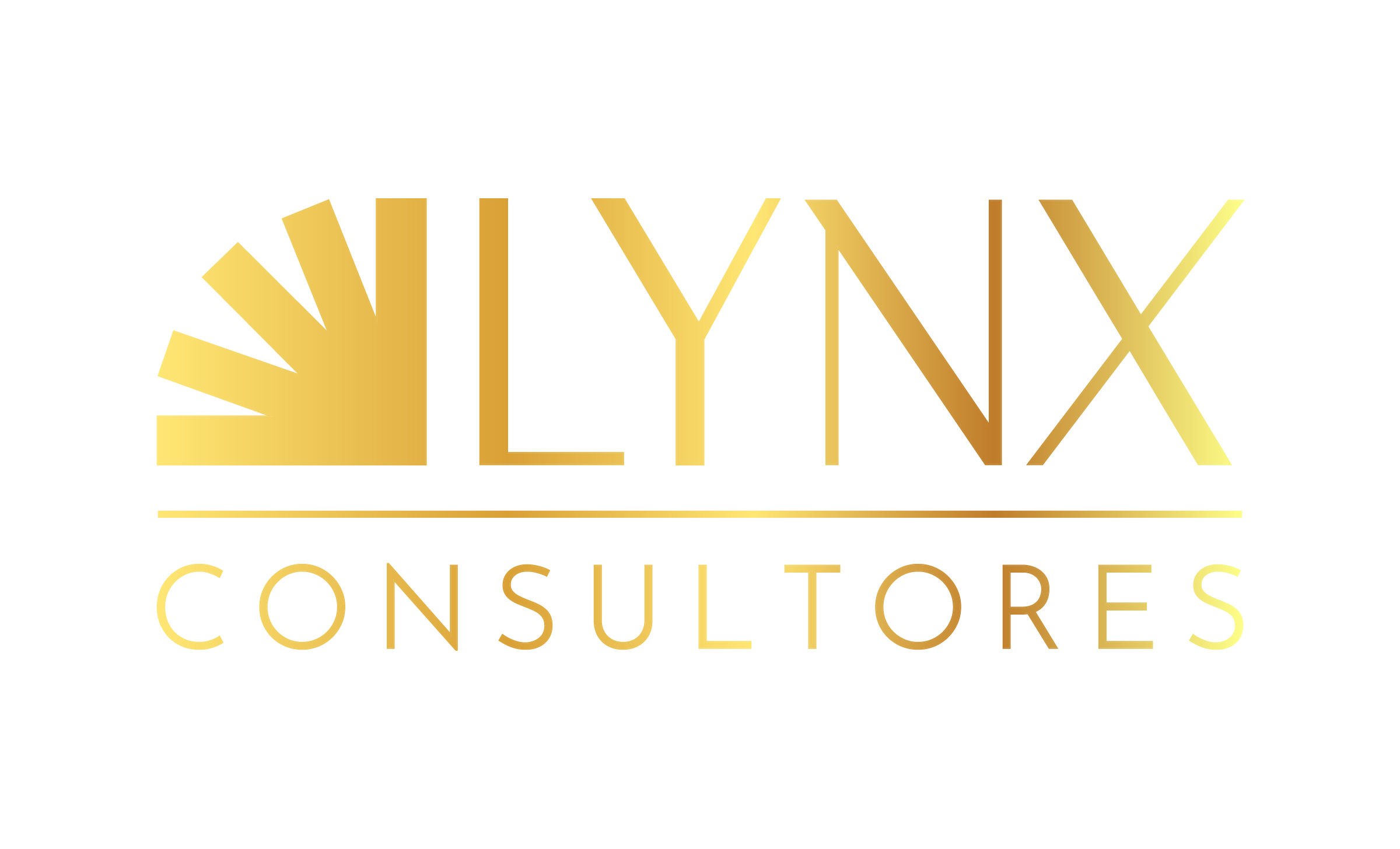 Lynx Consultores
